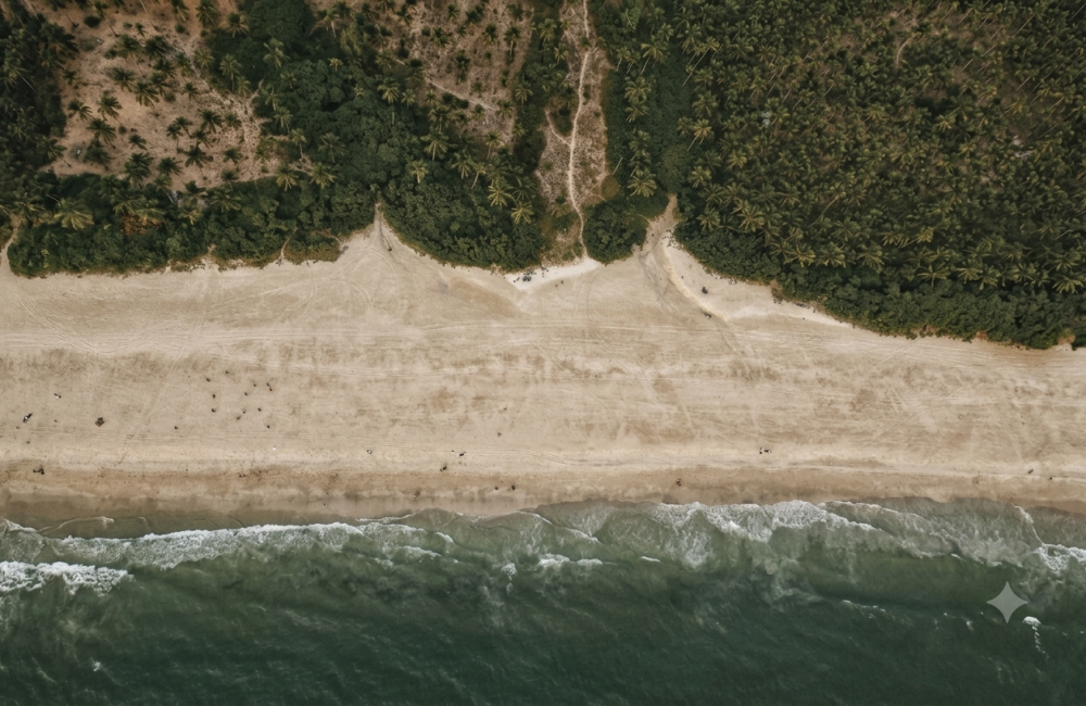 Aerial view of a quiet Goa beach and palm-lined coastline near an aqua yoga Goa wellness retreat