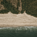 Aerial view of a quiet Goa beach and palm-lined coastline near an aqua yoga Goa wellness retreat