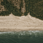 Aerial view of a quiet Goa beach and palm-lined coastline near an aqua yoga Goa wellness retreat