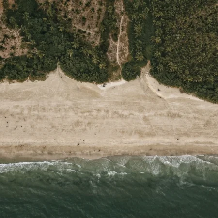 Aerial view of a quiet Goa beach and palm-lined coastline near an aqua yoga Goa wellness retreat