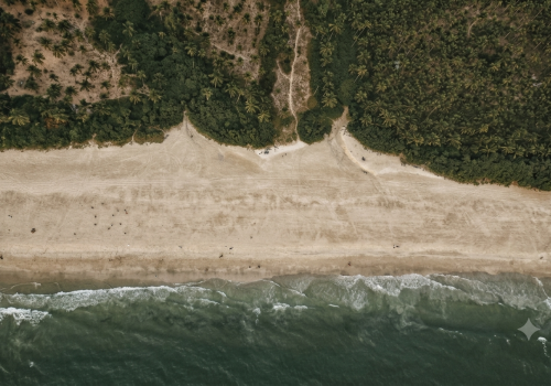 Aerial view of a quiet Goa beach and palm-lined coastline near an aqua yoga Goa wellness retreat
