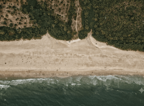 Aerial view of a quiet Goa beach and palm-lined coastline near an aqua yoga Goa wellness retreat