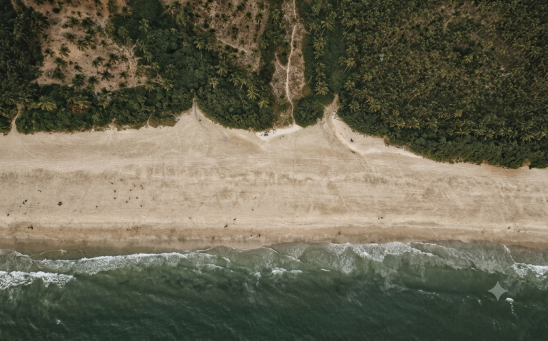 Aerial view of a quiet Goa beach and palm-lined coastline near an aqua yoga Goa wellness retreat