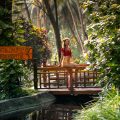 Brahma Muhurta benefits in Ayurveda: A woman enjoying the peaceful early morning surroundings of a lush Ayurvedic wellness retreat in Kerala.