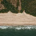 Aerial view of a palm-lined sandy beach and gentle ocean waves, highlighting relaxing things to do in Agonda, South Goa.