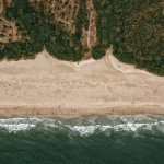 Aerial view of a palm-lined sandy beach and gentle ocean waves, highlighting relaxing things to do in Agonda, South Goa.