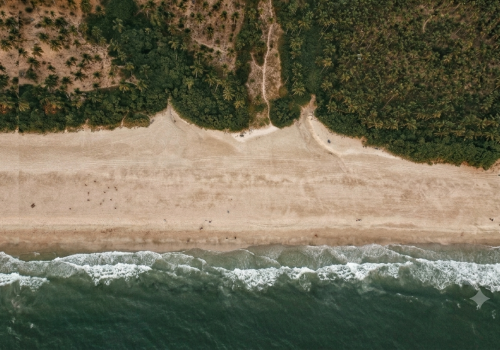Aerial view of a palm-lined sandy beach and gentle ocean waves, highlighting relaxing things to do in Agonda, South Goa.