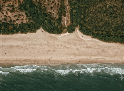 Aerial view of a palm-lined sandy beach and gentle ocean waves, highlighting relaxing things to do in Agonda, South Goa.