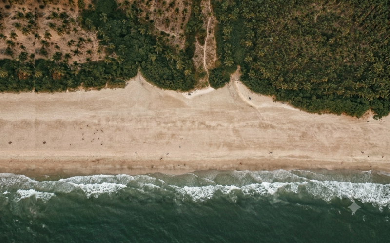 Aerial view of a palm-lined sandy beach and gentle ocean waves, highlighting relaxing things to do in Agonda, South Goa.