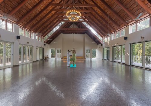 Yoga to lower cortisol: A guided yoga session at Kairali Ayurvedic Healing Village in Palakkad, Kerala, inside a spacious, naturally lit yoga hall.